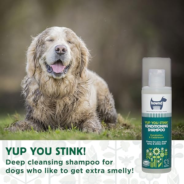 HOWND YUP YOU STINK ODOR DEODORIZING & DEEP CLEAN 2-IN-1 DOG SHAMPOO AND CONDITIONER – HYPOALLERGENIC, VEGAN, PH-BALANCED, ODOR CONTROL FOR SMELLY, ITCHY DOGS – CEDARWOOD AND EUCALYPTUS