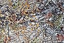 Camouflage Net Super 2.0 Camo Netting, Camouflage Net Blinds Great For Sunshade Camping Shooting Hunting Etc. 1.5Mx10M(4.9ftx32.8ft