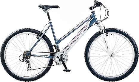 aspen 21 speed mountain bike
