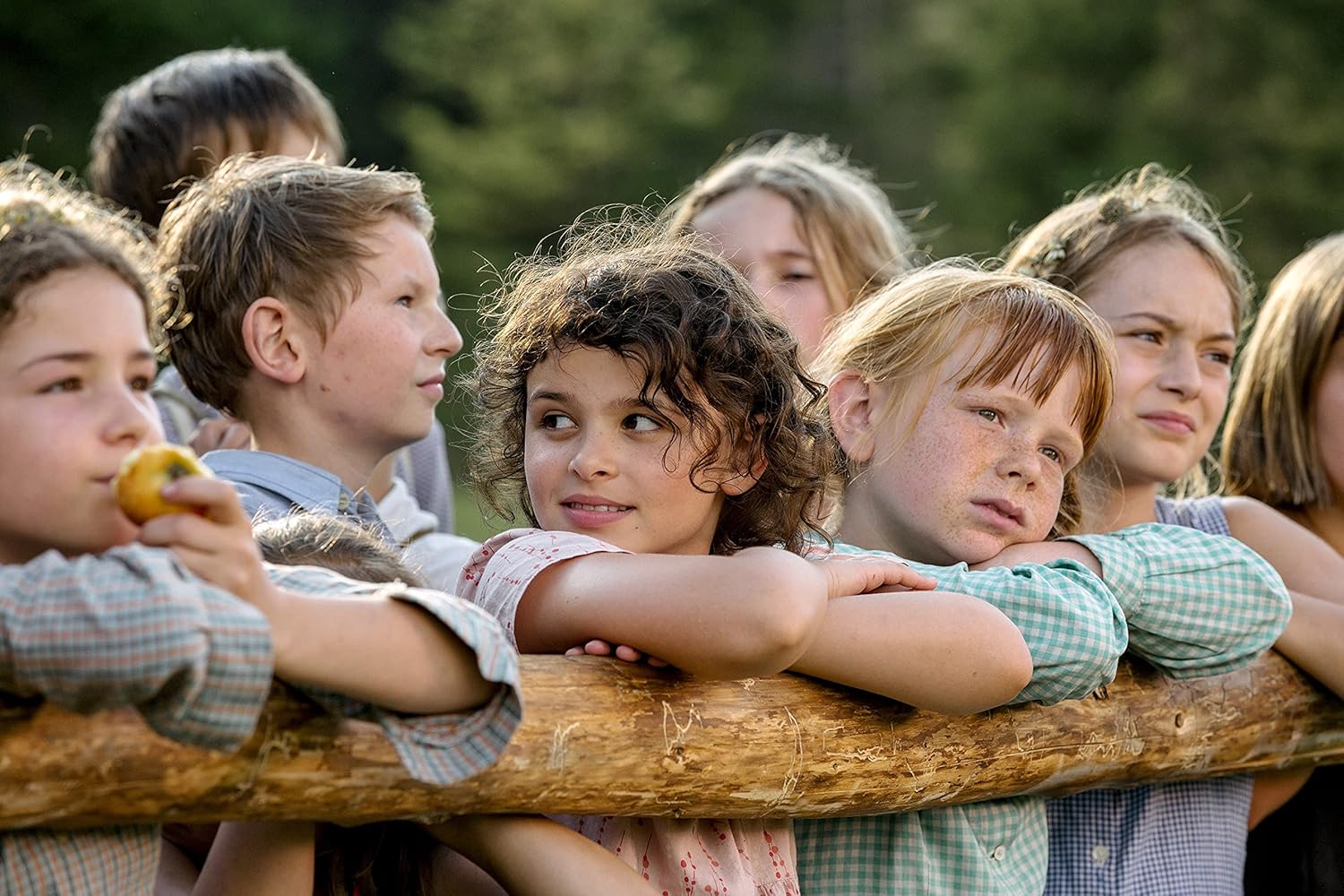 Amazon ヒトラーに盗られたうさぎ Dvd 映画