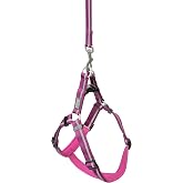 Terrain D.O.G. Reflective Neoprene Lined Dog Harness, Medium, Purple