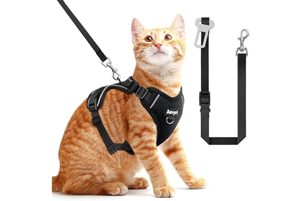 Cat Harness, Cat Harness and Leash for Walking, Adjusted in Four Directions and Breathable Cat Harness for Anti Escape that can be Fitted and Positioned, Reflective Strips Harness, Black, M