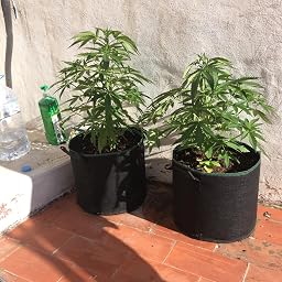 GardenMate® 3X 60l Saco para Plantas de Malla geotextil ...