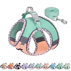 AIITLE Dog Harness and Leash Set