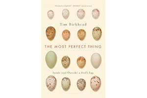 The Most Perfect Thing: Inside (and Outside) a Bird’s Egg