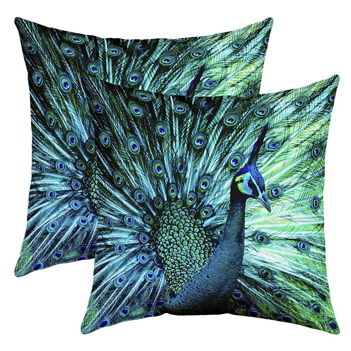 Loussiesd Peacock Throw Pillow Covers 16"x16" Set of 2 Soft Animal Theme Cushion Covers for for Sofa Peacock Feathers Design Green Blue Natural Style Decorative Pillowcases Outdoor Pillows Covers