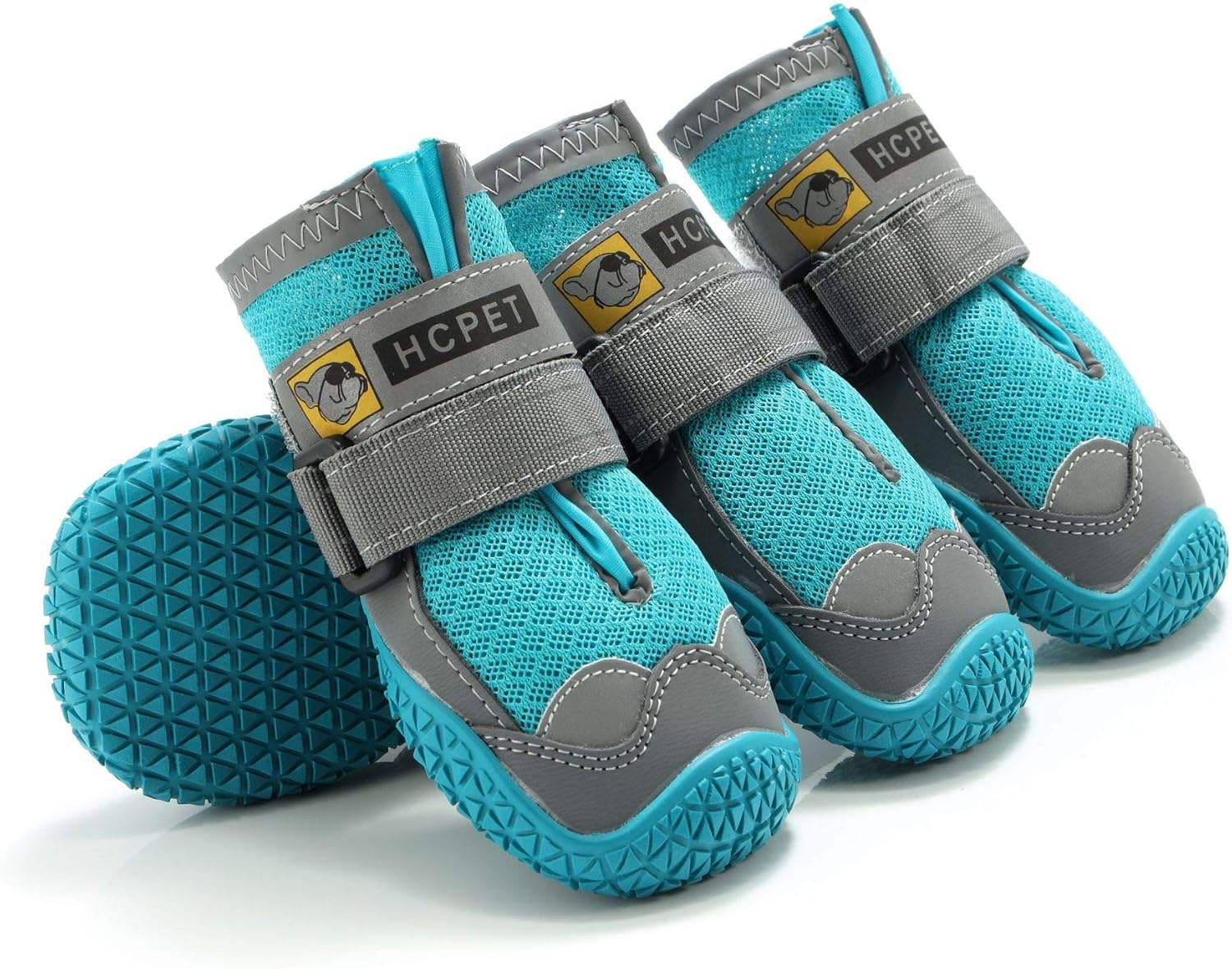 wolf hybrid dog price