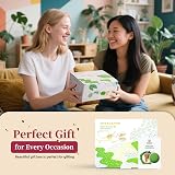 TEANAGOO Matcha Whisk Set 7 Pcs Ceramic Bowl Chawan Gift view 6