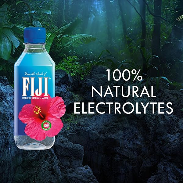 FIJI NATURAL ARTESIAN BOTTLED WATER 330ML / 11.15 FL OUNCE (PACK OF 24) – 100% NATURAL ELECTROLYTES – NEW