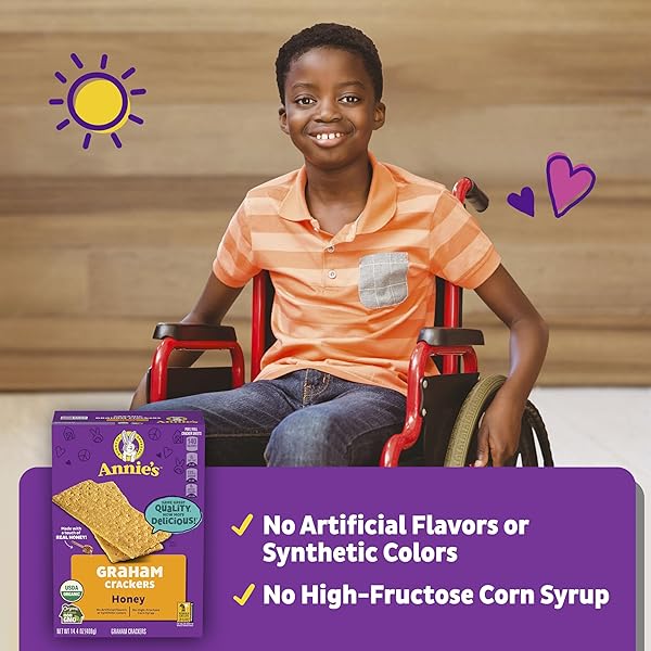 ANNIE’S ORGANIC HONEY GRAHAM CRACKERS, MADE WITH WHOLE GRAIN, 14.4 OZ