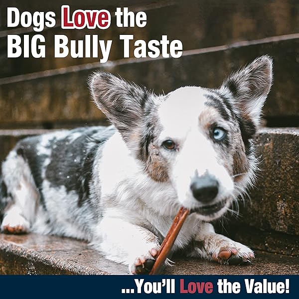 CADET BULLY HIDE STICKS FOR SMALL DOGS, ALL-NATURAL BEEF PIZZLE, LIMITED-INGREDIENT LONG-LASTING DOG CHEWS FOR AGGRESSIVE CHEWERS, 4 COUNT