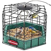 Kingsyard Squirrel Proof Platform Bird Feeders for Outdoor Hanging, 10" Wide Metal Caged Bird Feeder for Small Wildbirds Finches, Recycled Plastic Feeding Platform with Metal Seed Tray, Green