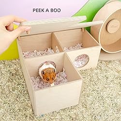 Niteangel Multi-Chamber Hamster House