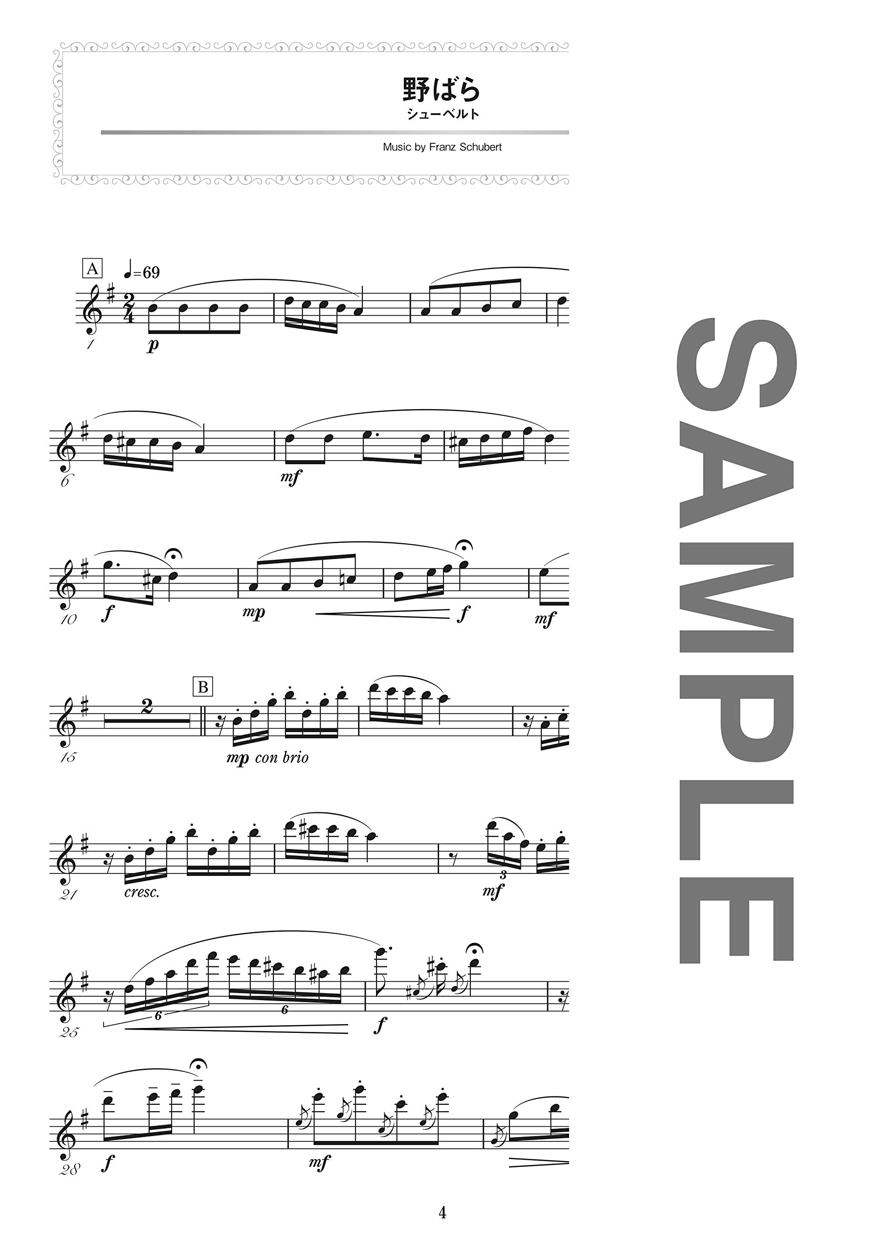 最安値に挑戦 楽譜 ピアノと奏でるフルート ソロ クラシック名曲選 伴奏譜 別冊パート譜付き 中 上級 Riosmauricio Com