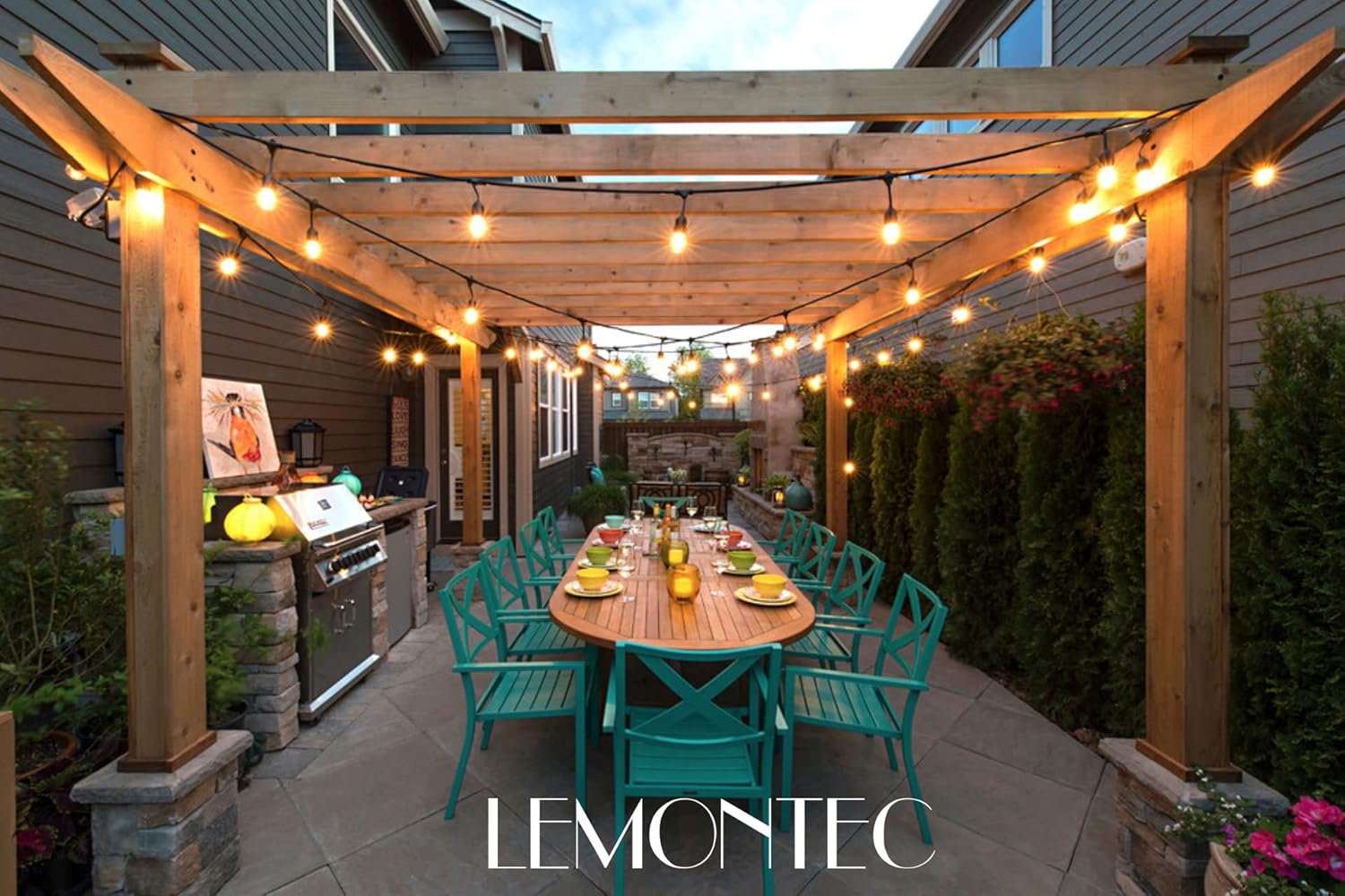 Lemontec Commercial Grade Outdoor String Lights with 15 Hanging Sockets - 48 Ft Black Weatherproof Cord Weatherproof Strand for Patio Garden Porch Backyard Party Deck Yard – S14 Black - - 