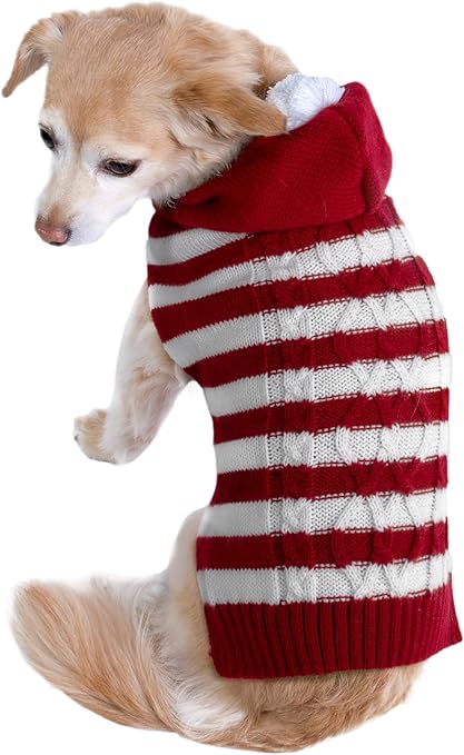 Friends forever dog apparel Clearance