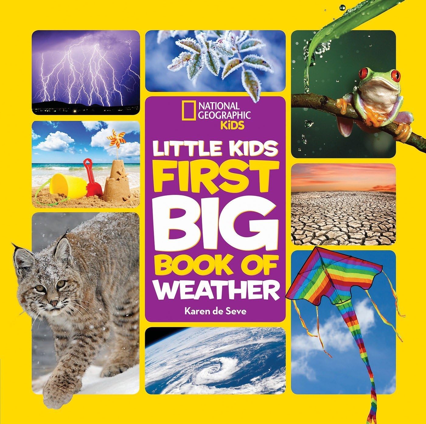 Little Kids First Big Book of Weather (National Geographic Kids)