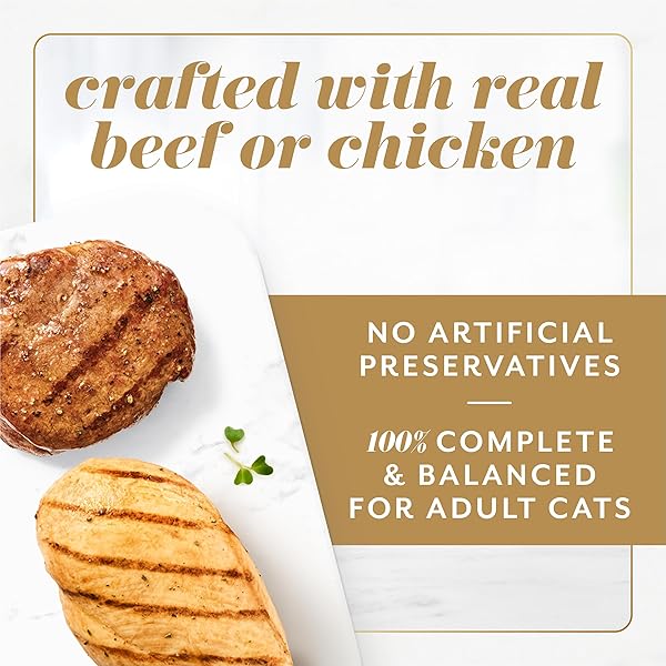 FANCY FEAST GEMS PATE CAT FOOD MOUSSE CHICKEN OR BEEF AND A HALO OF SAVORY GRAVY WET CAT FOOD VARIETY PACK – (1) 8 CT. BOXES – 8 CT. BOX