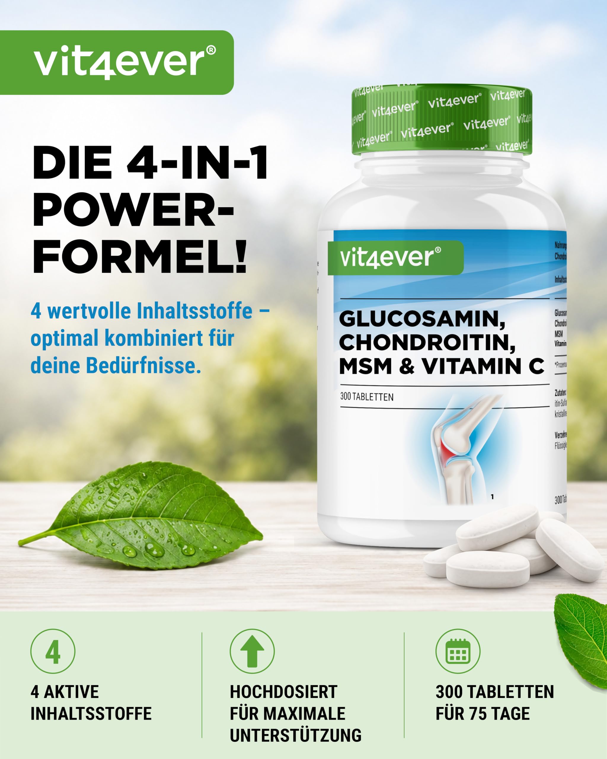 vit4ever Glucosamin Chondroitin MSM - 300 Tabletten - 4-in-1 Formel 2