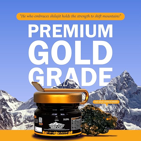SHILAJIT – PURE ORGANIC RESIN FOR NATURAL ENERGY BOOST, IMMUNE SYSTEM SUPPORT, AND VITALITY ENHANCEMENT – 25 GRAM