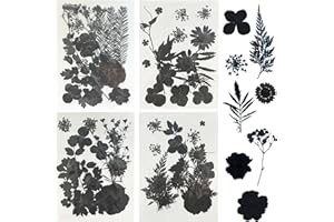 Woohome 4 Pack Dried Flowers for Resin Molds, 64 Pcs Real Natural Dried Pressed Flowers, Black Natural Dried Pressed Leaves for Pressed Leaf Art Craft DIY Embellishment Decorations