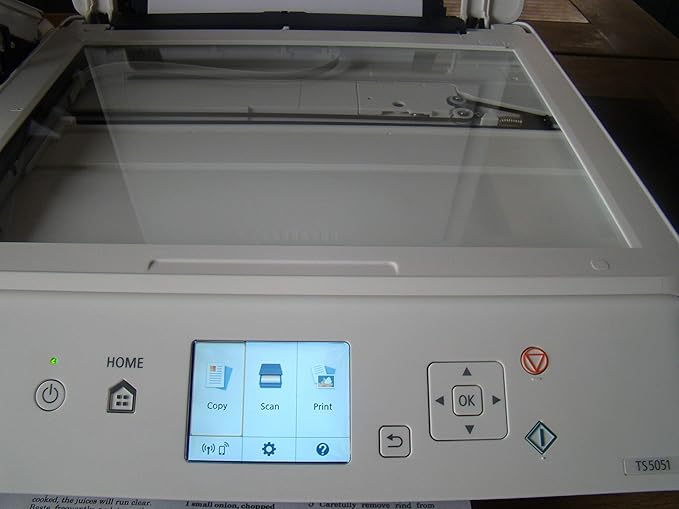 canon ts5051 white
