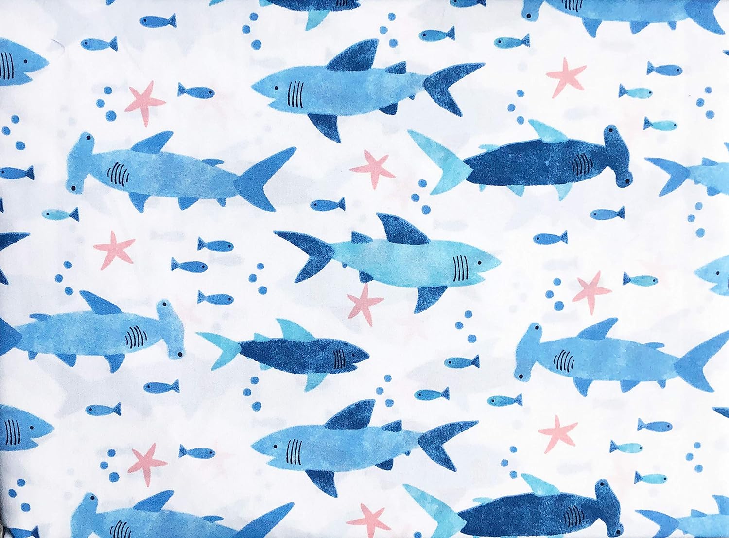 Authentic Kids 3pc Twin Sheet Set Blue Sharks Hammerhead Great White Starfish on White (Twin)