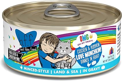 Amazon Com Weruva B F F Omg Best Feline Friend Oh My Gravy Grain Free Wet Cat Food Cans Love Munchkin Chicken Pumpkin 5 5 Ounce Can Pack Of 8 Pet Supplies