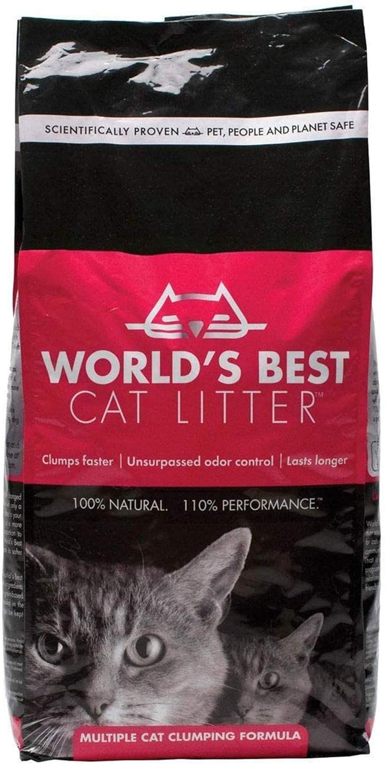 world's best cat litter best cat litter