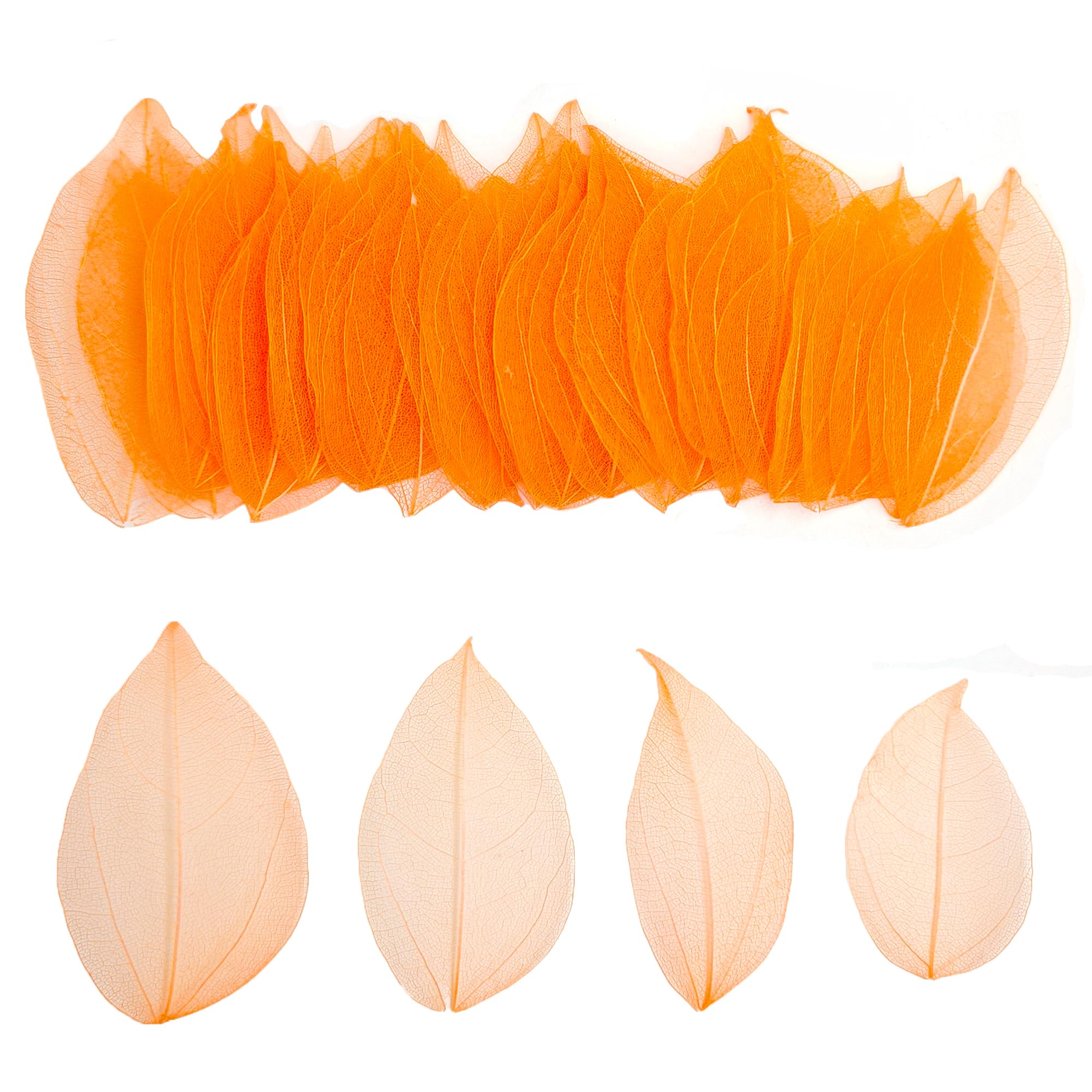 HAOBIN Pack of 50 Artificial Leaves Decorative Leaves Garland Craft Dry Leaves Dried Leaves Used for DIY Crafts Scrapbook Craft Card Making (Orange) โ image 1