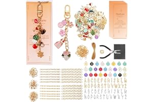 Acidea 702Pcs Keychain Making kit, Bag Charm Kits with Keychain, Charms, Chains, Jump Rings, Lobster Clasps, Plier, Gift Bags
