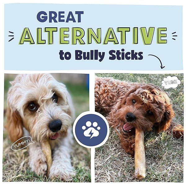 PAWSTRUCK NATURAL 5-7″ BEEF COLLAGEN STICKS FOR DOGS – LONG-LASTING RAWHIDE ALTERNATIVE, HIGH PROTEIN & LOW FAT WITH CHONDROITIN & GLUCOSAMINE – 5 PACK