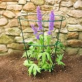 Garden Mile 5Pcs Plant Support Stakes 76cm Green Aluminium Ring Frames view 3