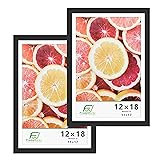 FrameWorks 2-Pack, 12x18 Matted to 11x17 Picture