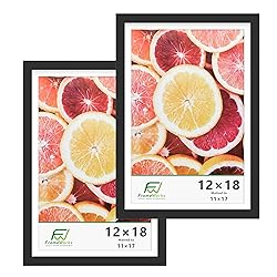 FrameWorks 2-Pack, 12x18 Matted to 11x17 Picture