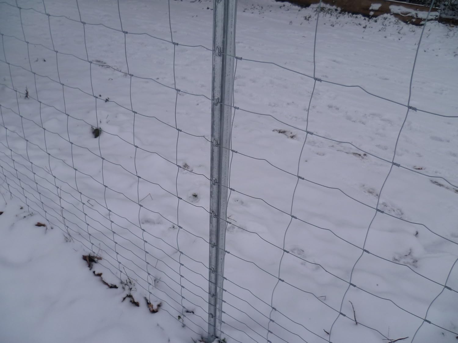 Aquagart Z-Profil Zaunpfosten 2,5 M Verzinkt - Stabile Metallpfähle Für Wildzaun & Weide