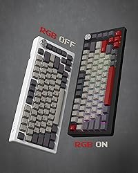 Womier Keycaps, Custom PBT Doubleshot Keycaps 60 65