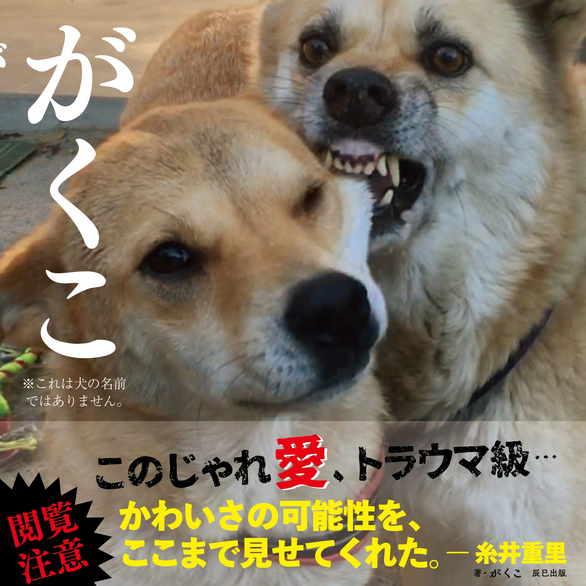 がくこ がくこ 本 通販 Amazon