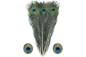 BZTVXMZ Peacock Feather Bulk Natural -20Pcs 15-19in (40-50 cm),Long Peacock Feathers for Crafts or Vase or Party Decorations.
