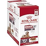 royal canin senior medium dog