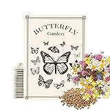 American Meadows Wildflower Seed Packets Butterfly