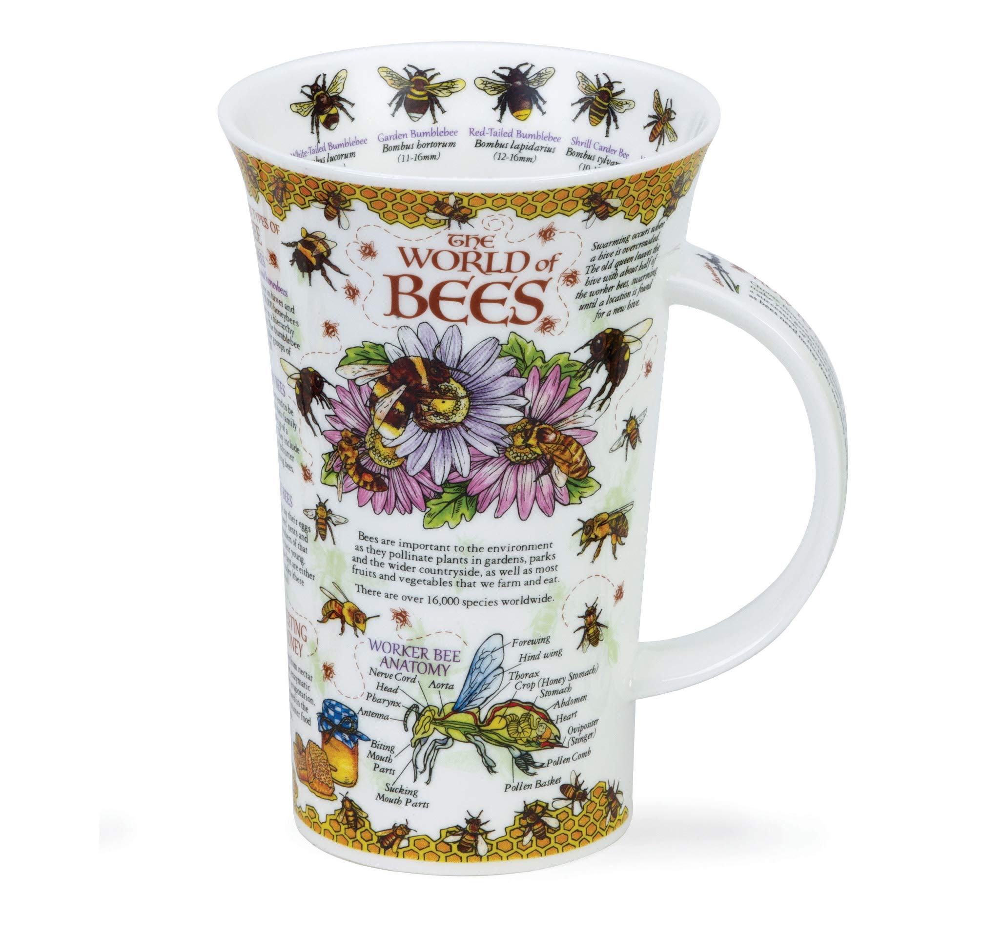 Dunoon Fine Bone China Mug Glencoe Shape - World of Bees