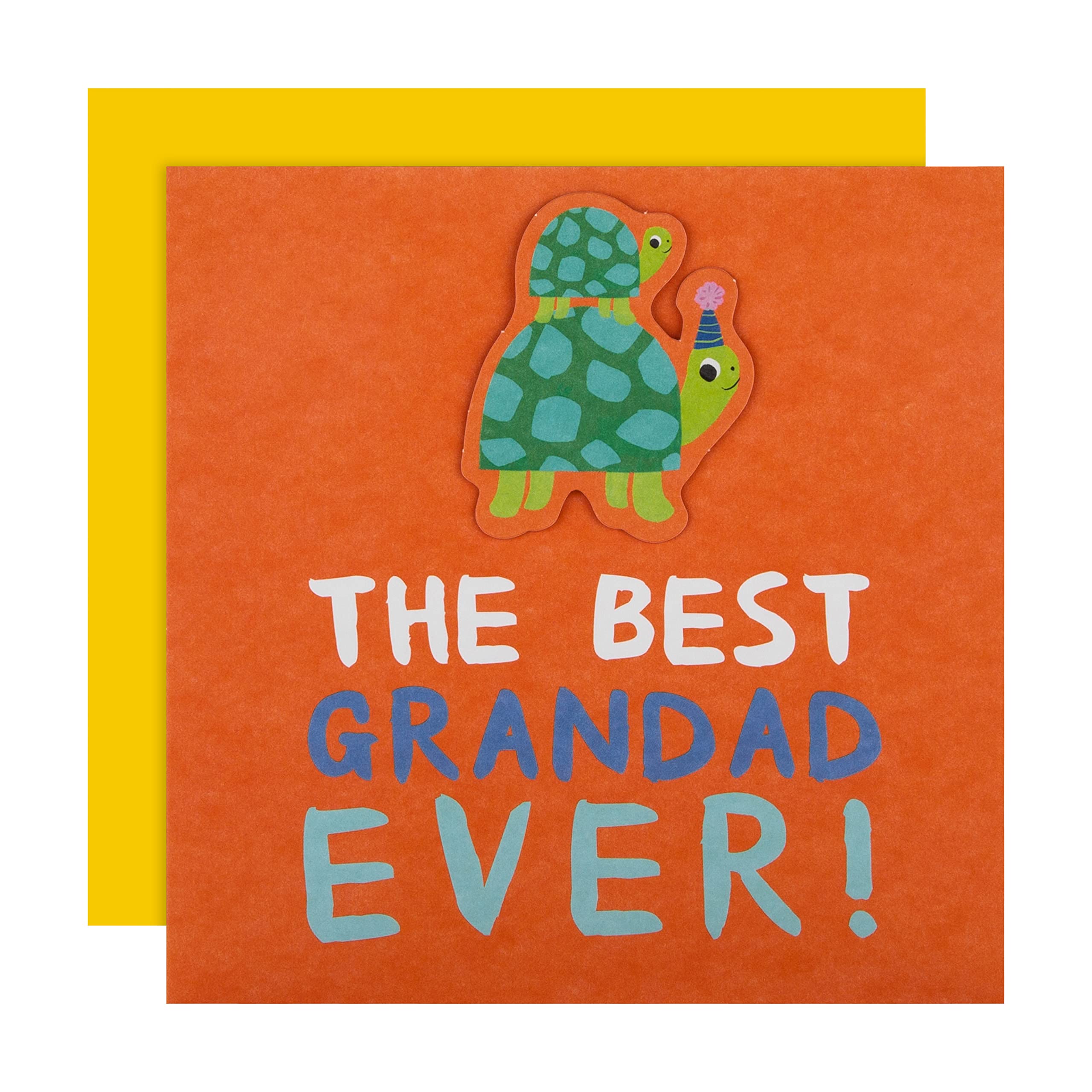 Hallmark Father's Day Card for Grandad - Cute Tortoise Design