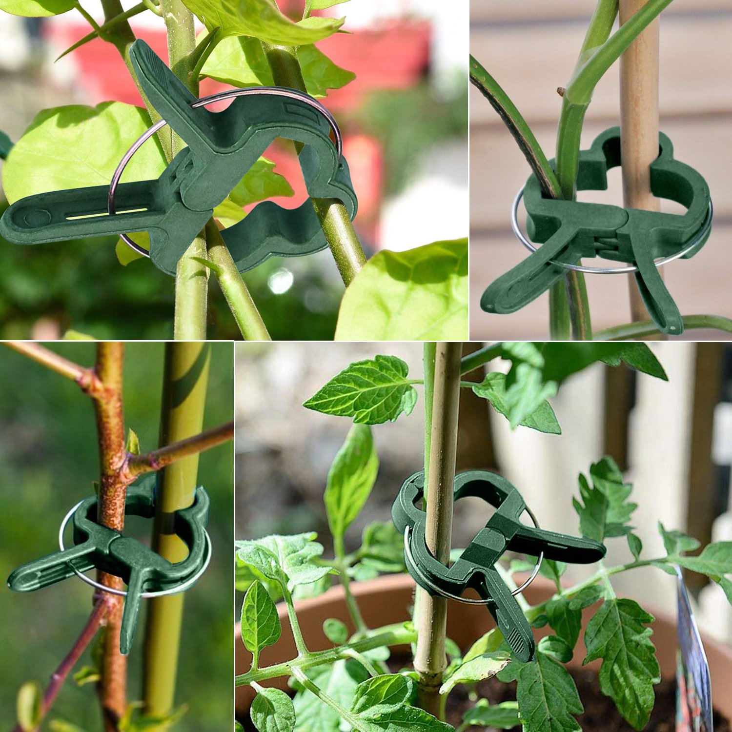 Jardinería verduras y flores Mopalwin Planta de jardín & flor clips