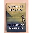 The Mountain Between Us