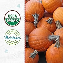Back to the Roots 100% Organic Seed Packet