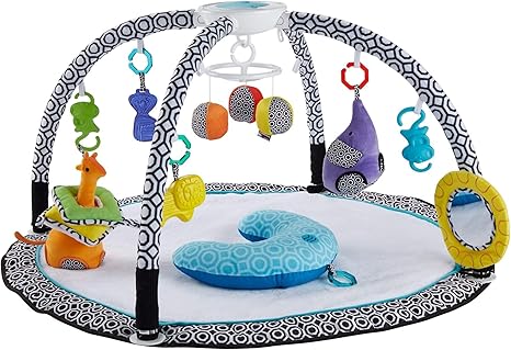 fisher price sensory gym