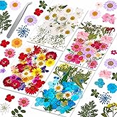 153 Pcs Dried Pressed Flowers for Crafts, Real Pressed Wildflowers Natural Dry Leaves Bulk with Tweezer for Epoxy Resin Jewelry Molds, Candle Soap Making, Scrapbook, Bookmark, Nails Decor