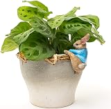 Pot Buddies Beatrix Potter Peter Rabbit Climbing Plant Pot Hanger view 6