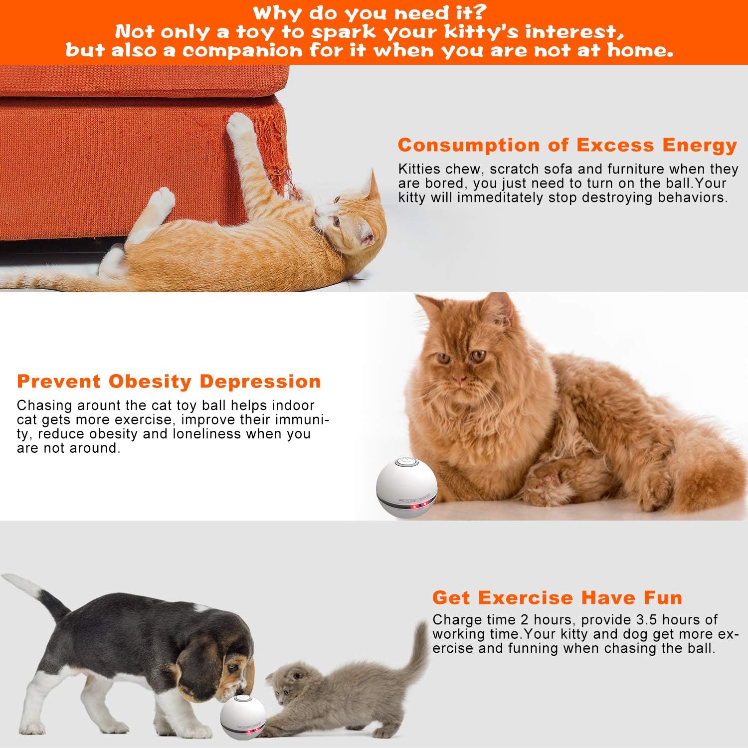 HESTIA Interactive Cat Toy Ball, Automatic Rolling Kitty Toys for Indoor Cats, USB Charging 360 Degree Self Rotating Ball, Build-in Catnip Spinning Color Led Light, with Feather/Bell Toy (White) : Pet Supplies
